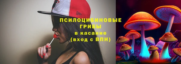 гашик Балахна