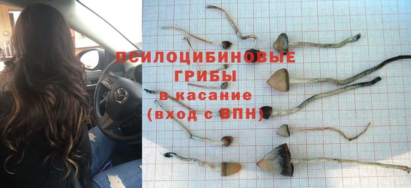 гашик Балахна