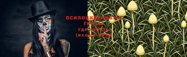 гашик Балахна