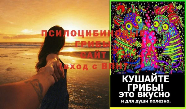 гашик Балахна