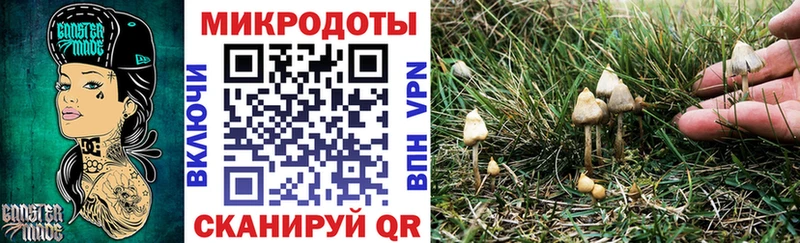 Купить где  Аткарск  Галлюциногенные грибы Cubensis 